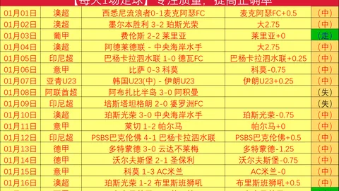 直击赛场！连续6胜惊喜来袭，NBA焦点对决：老鹰VS黄蜂，不容错过的精彩盛宴！