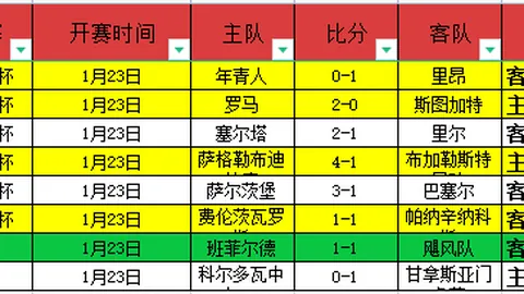 意德半场激战德国灌入三球，多纳鲁马狂捶草地，布冯旁观面色凝重！
